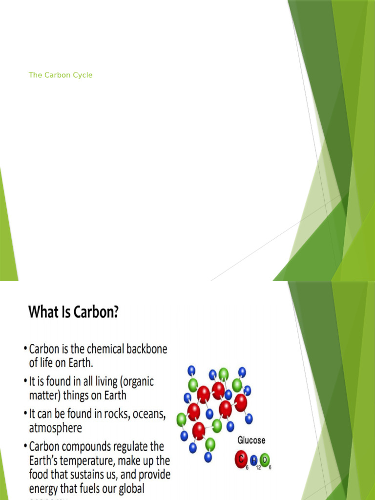 Carbon Cycle Presentation | PDF