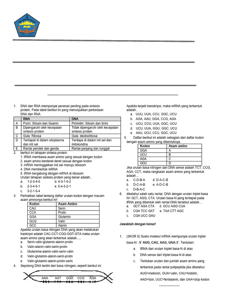 Bioproses Sel: Sintesis Protein di SMA | PDF