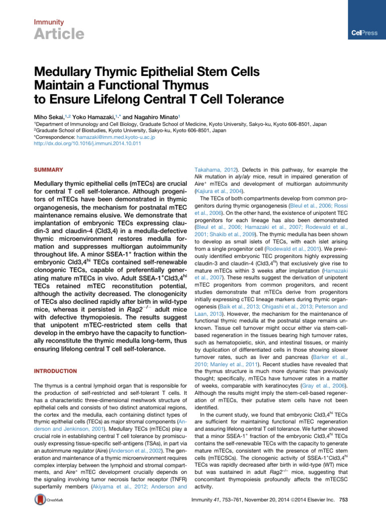 Medullary Thymic Epithelial Stem Cells Maintain A Functional Thymus To ...