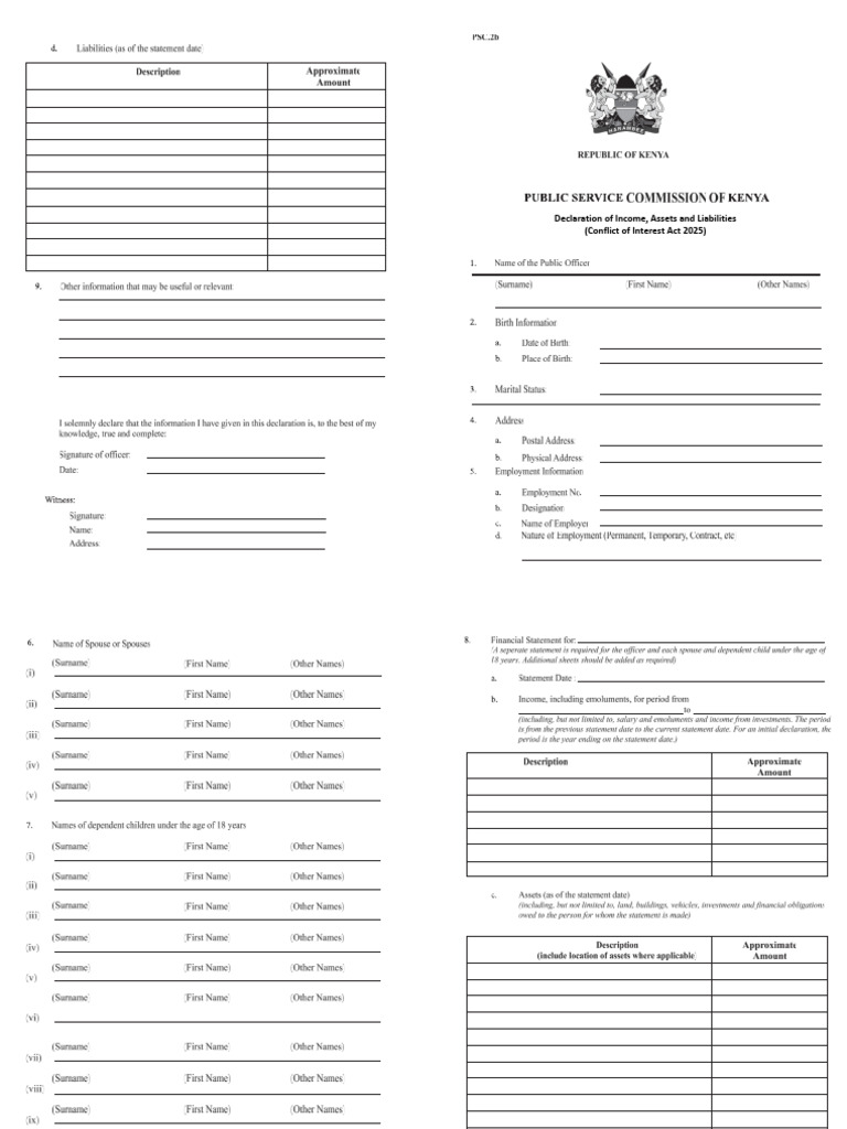 Income and Asset Declaration Form | PDF