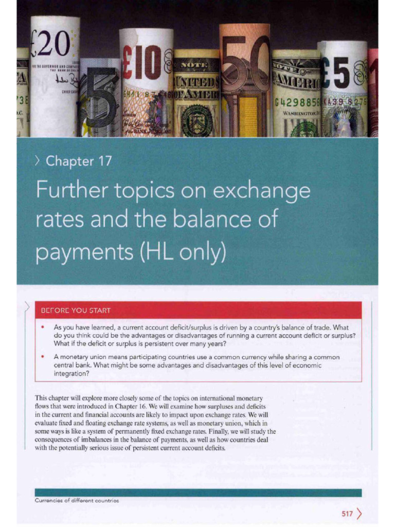 IB Ch17 Further Topics On Exchange Rates and The Balance of Payments | PDF