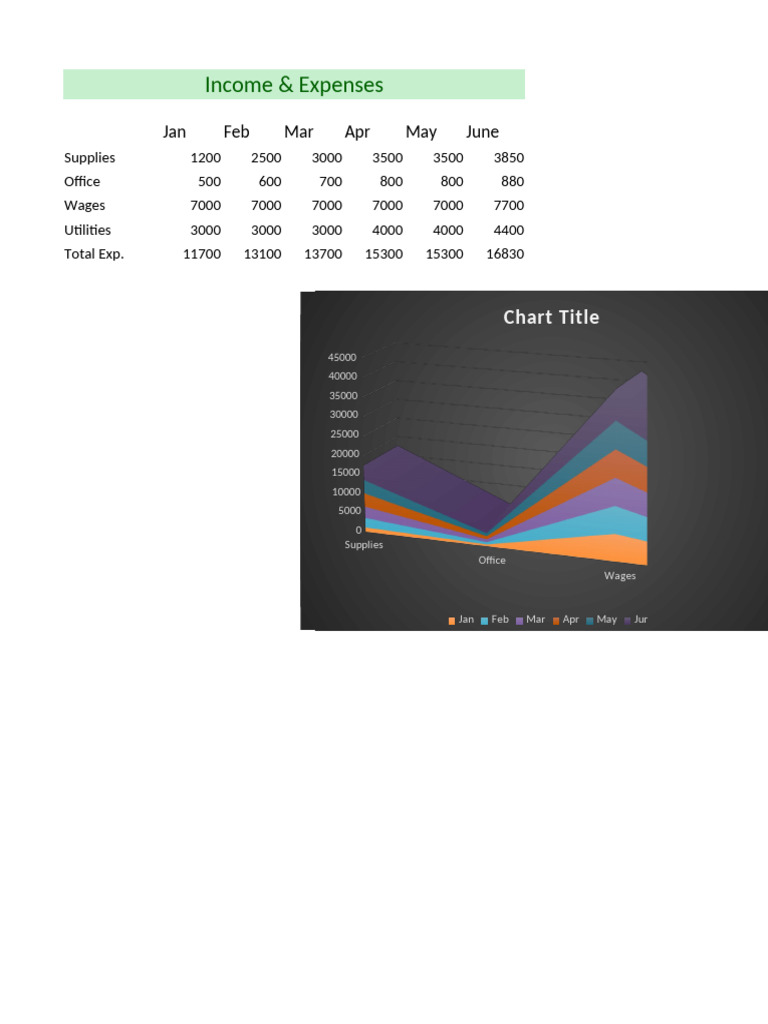 Monthly Income and Expense Overview | PDF