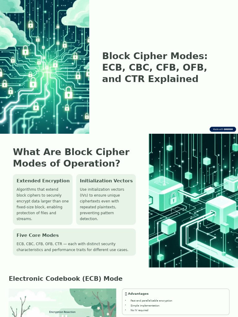 Block Cipher Modes Explained: ECB to CTR | PDF | Cryptography | Secure ...