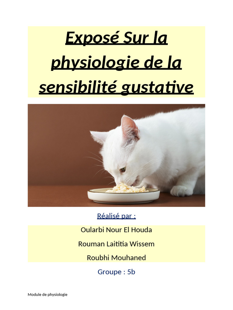 Physiologie de la Sensibilité Gustative | PDF | Goût | Sens (physiologie)