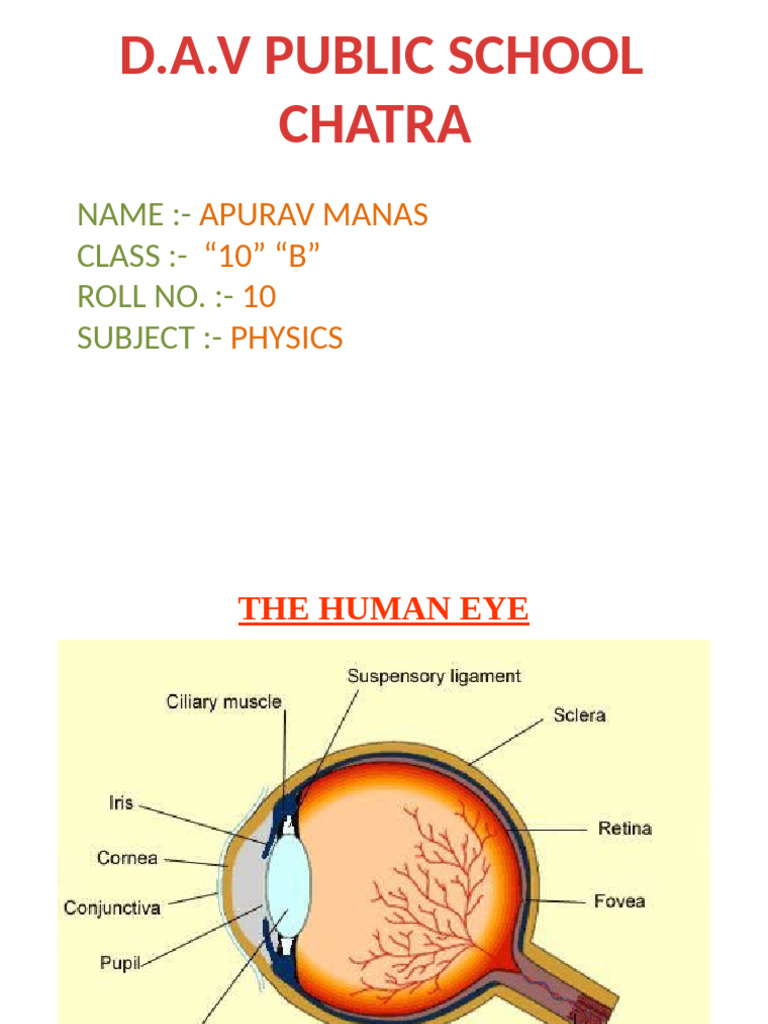 Ks Human Eye | PDF | Eye | Rainbow