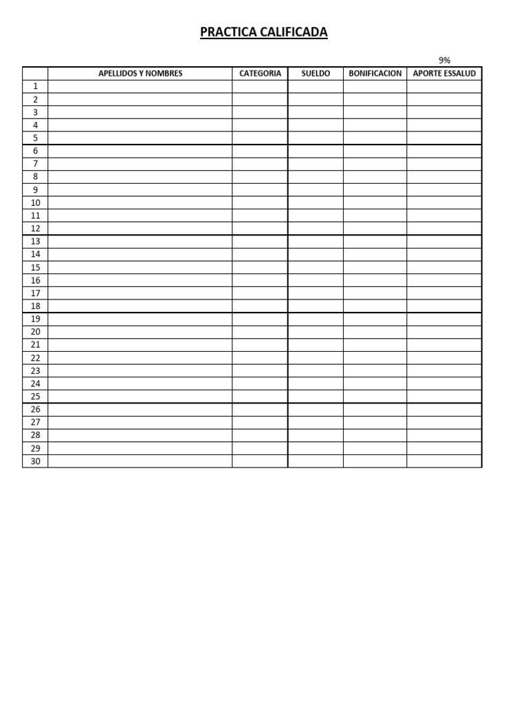 Practica Informatica | PDF