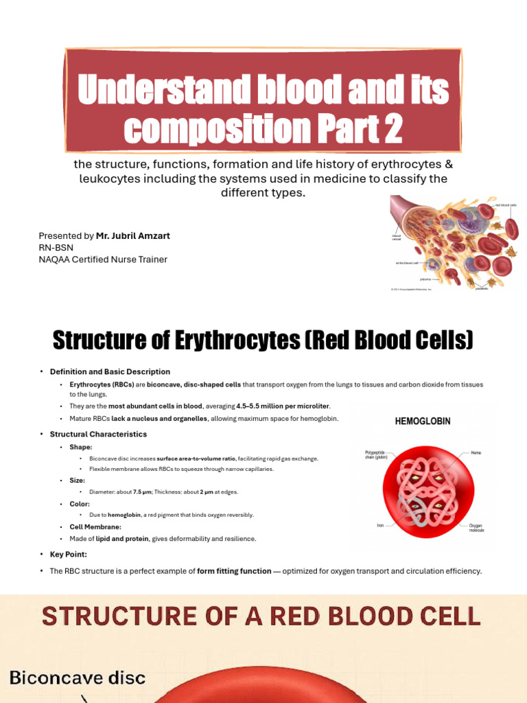 Blood Cell Structure and Functions Explained | PDF | Red Blood Cell ...