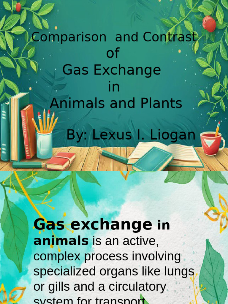 Gas Exchange in Animals vs. Plants | PDF