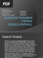Download Pepaya Ppt by Arie SN95007877 doc pdf