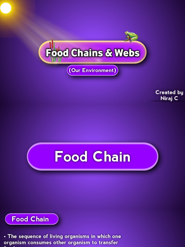 Food Chains & Webs | PDF