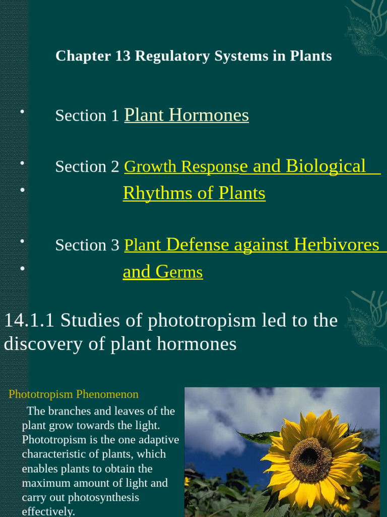 Plant Hormones and Growth Responses | PDF | Auxin | Plant Hormone