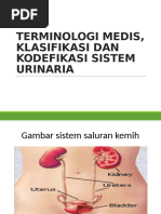 Kode ICD 10 untuk Cystitis dan ISK | PDF