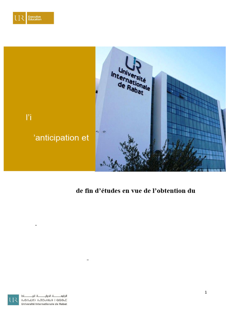 Gestion des Risques Naturels et Intelligence | PDF | Risque | Gestion ...