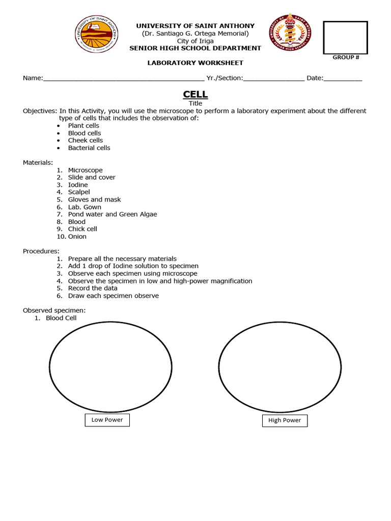 Microscope Cell Observation Worksheet | PDF