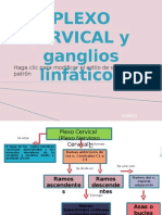 plexo cervical  y ganglios linfáticos1