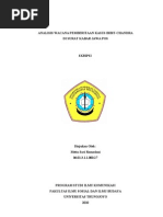 Download Analisis Wacana Pemberitaan Kasus Bibit-chandra_2 by Ina Chalim SN95016078 doc pdf