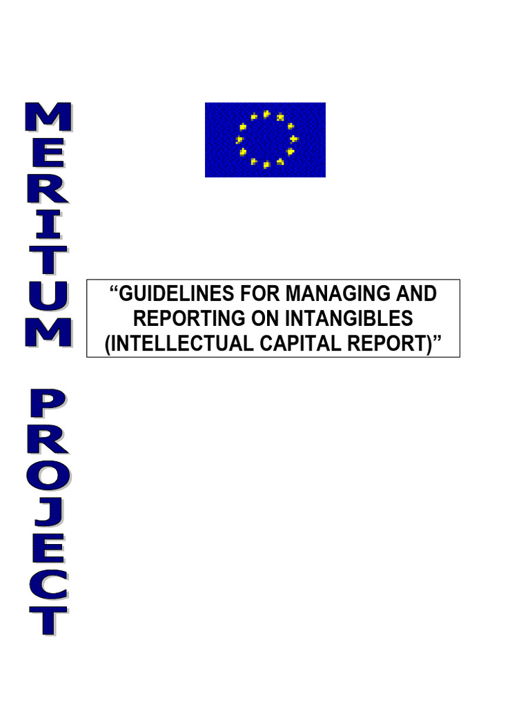 Meritum Guidelines | PDF | Intangible Asset | Capital (Economics)