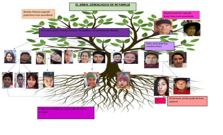 Arbol Genealogico | PDF