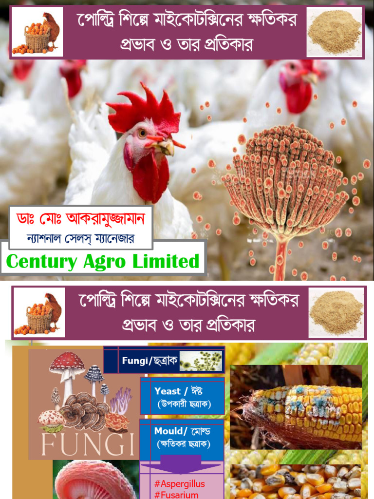 Mycotoxin Management in Poultry Feed | PDF | Biology