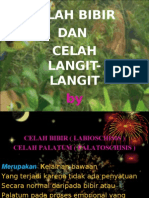 Celah Bibir Dan Celah Langit-Langit