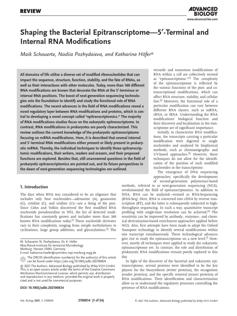 Shaping The Bacterial Epitranscriptome | PDF | Rna | Messenger Rna