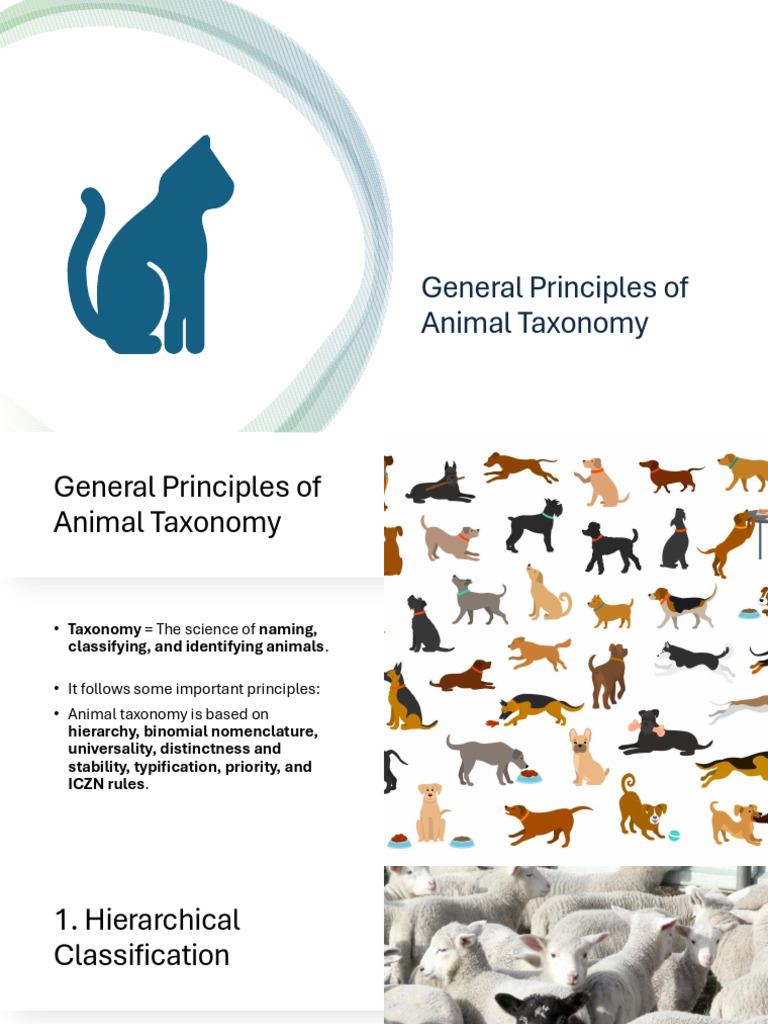 Principles of Animal Taxonomy Explained | PDF | Taxonomy (Biology) | Genus