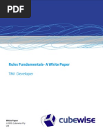 TM1 Rules PDF