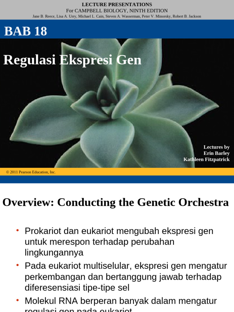 Regulasi Ekspresi Gen pada Eukariot | PDF