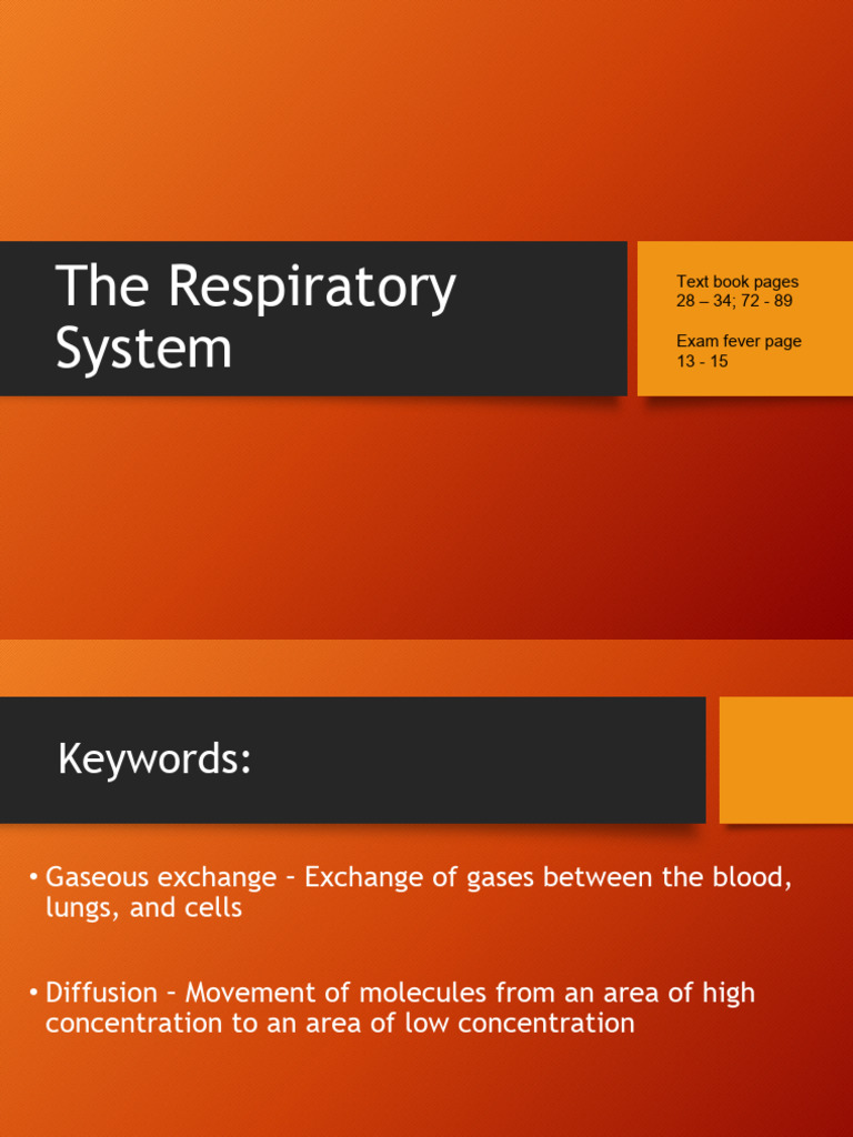 Overview of the Respiratory System | PDF | Respiratory Tract | Lung