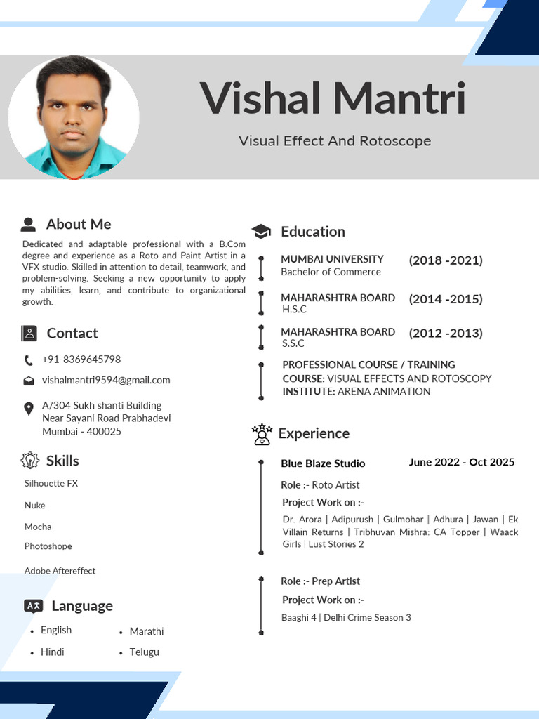 Modern Minimalist Professional CV Resume | PDF