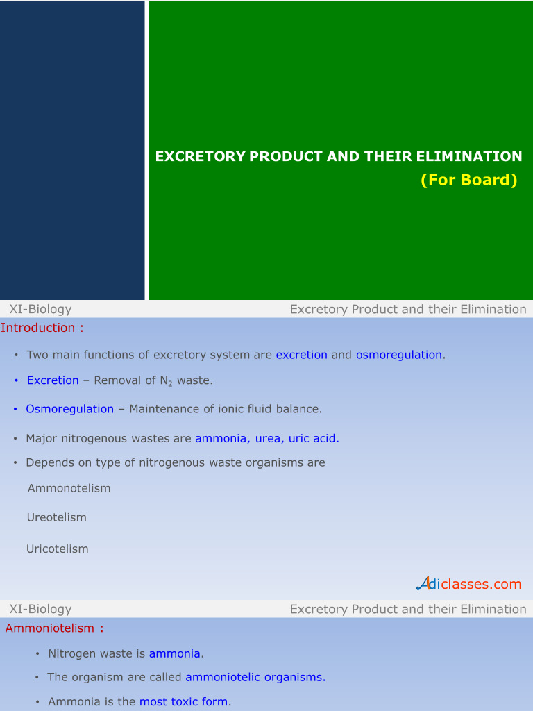 Excretion | PDF