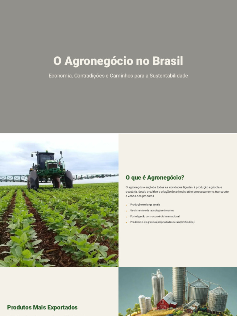 Agronegócio no Brasil: Desafios e Sustentabilidade | PDF | Agricultura ...