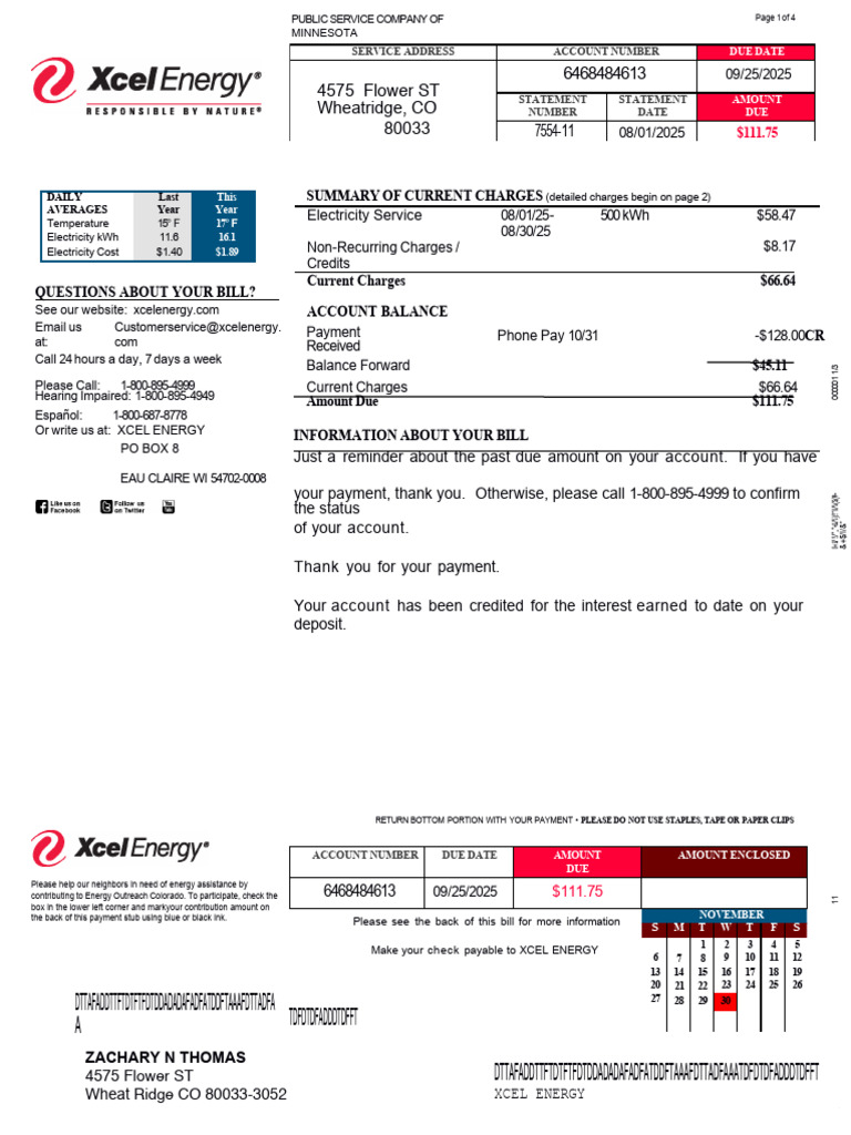 Xcel Energy Bill Statement Overview | PDF | Power (Physics) | Electric ...