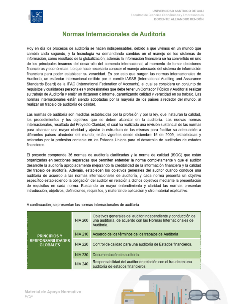 Normas NIA y de Auditoria | PDF | Auditoría | Estado financiero