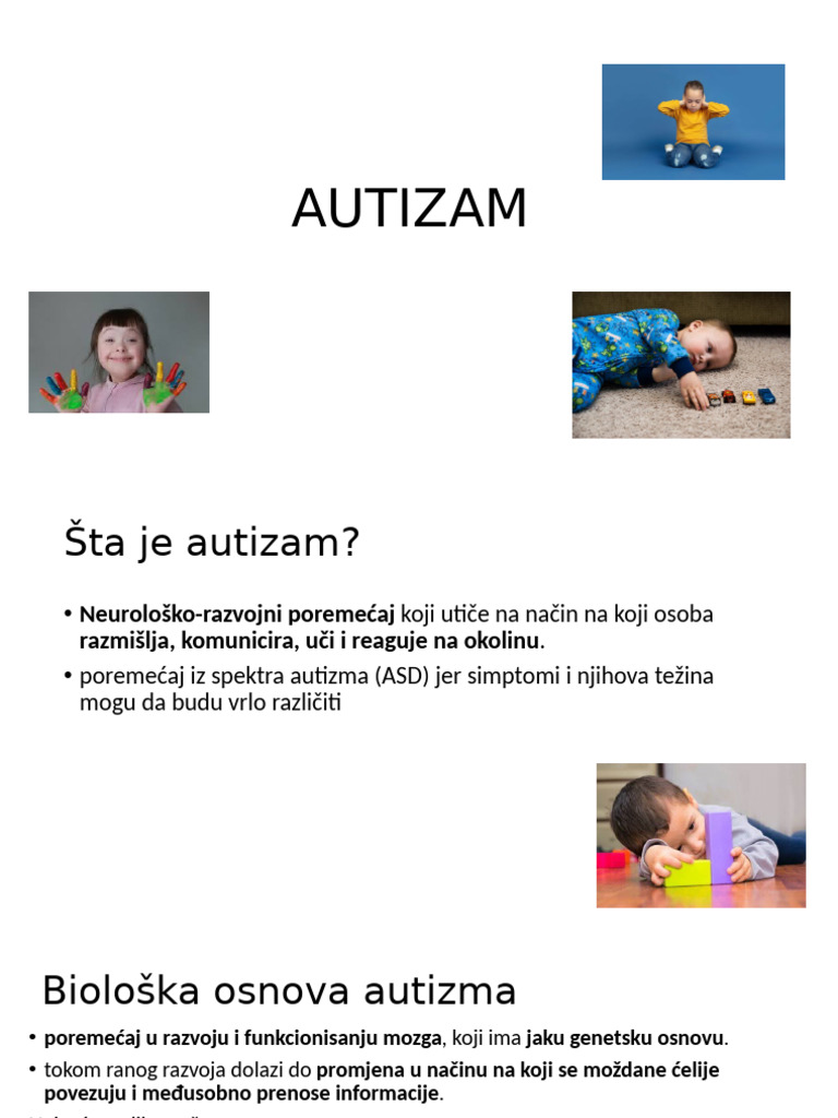 AUTIZAM | PDF