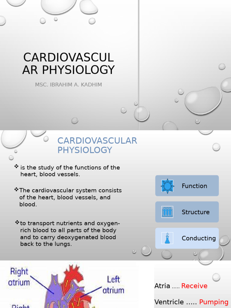 Understanding Cardiovascular Physiology | PDF | Heart | Ventricle (Heart)