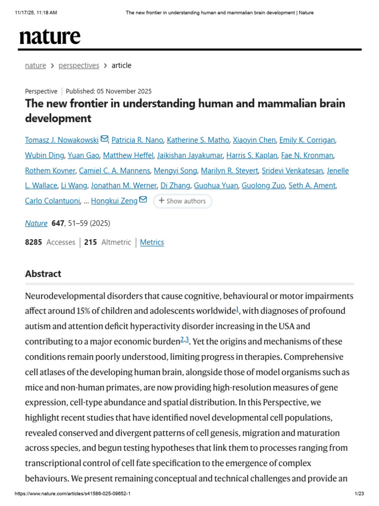 Insights into Brain Development Mechanisms | PDF | Cerebral Cortex ...