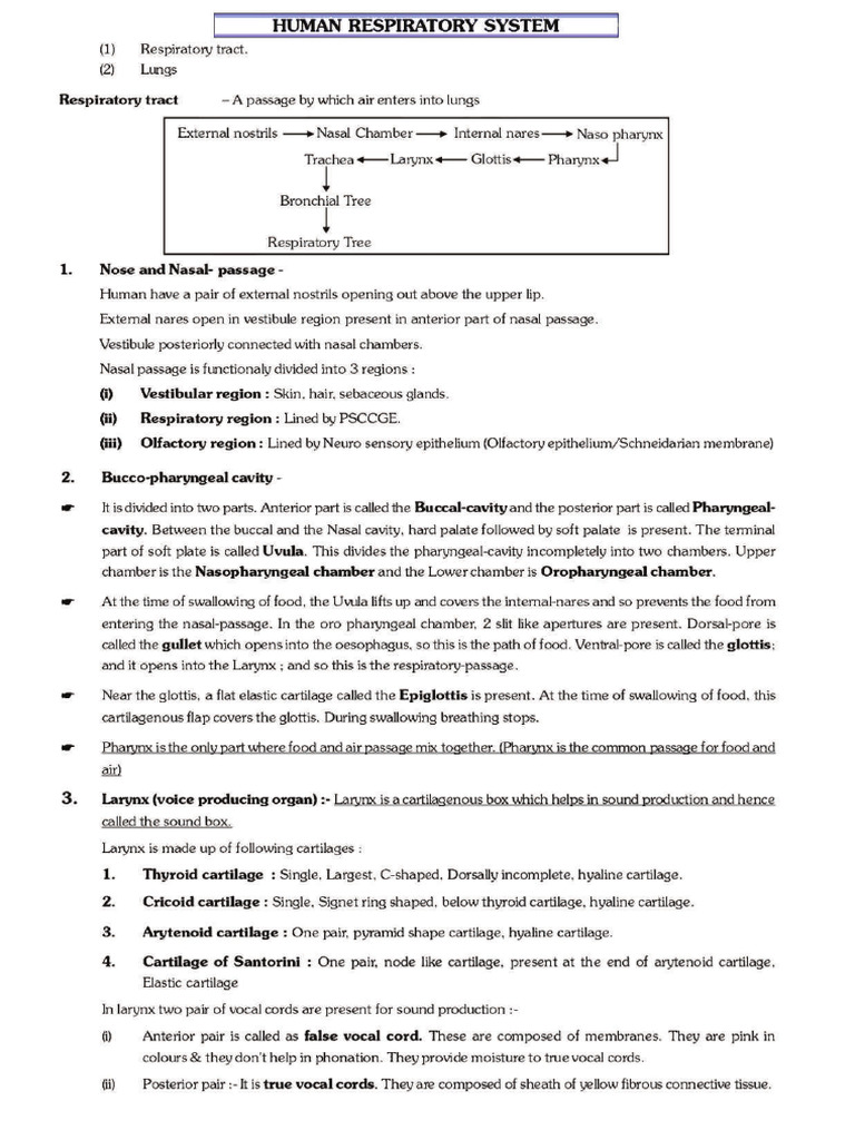 Biopdf | PDF
