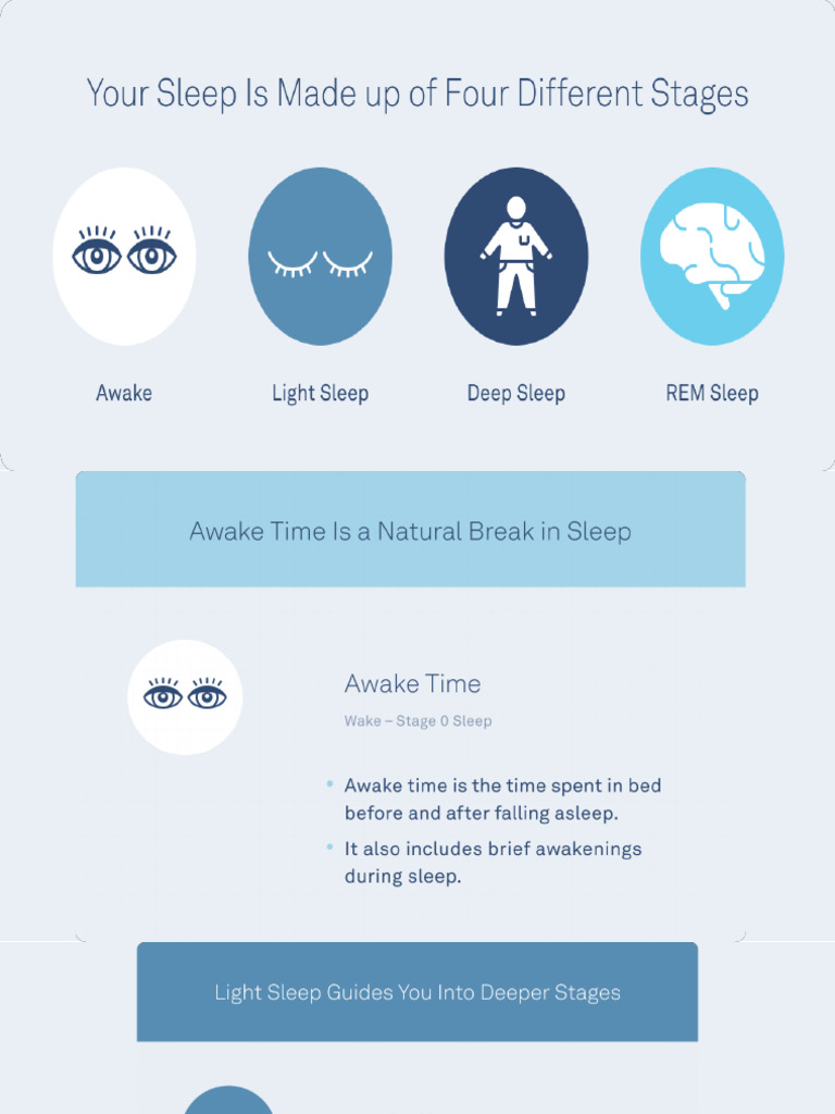 4 Stages of Sleep | PDF