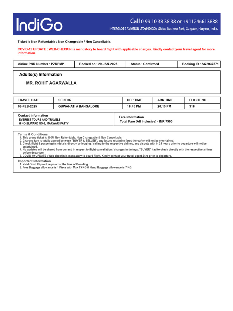 non-refundable-flight-ticket-details-pdf