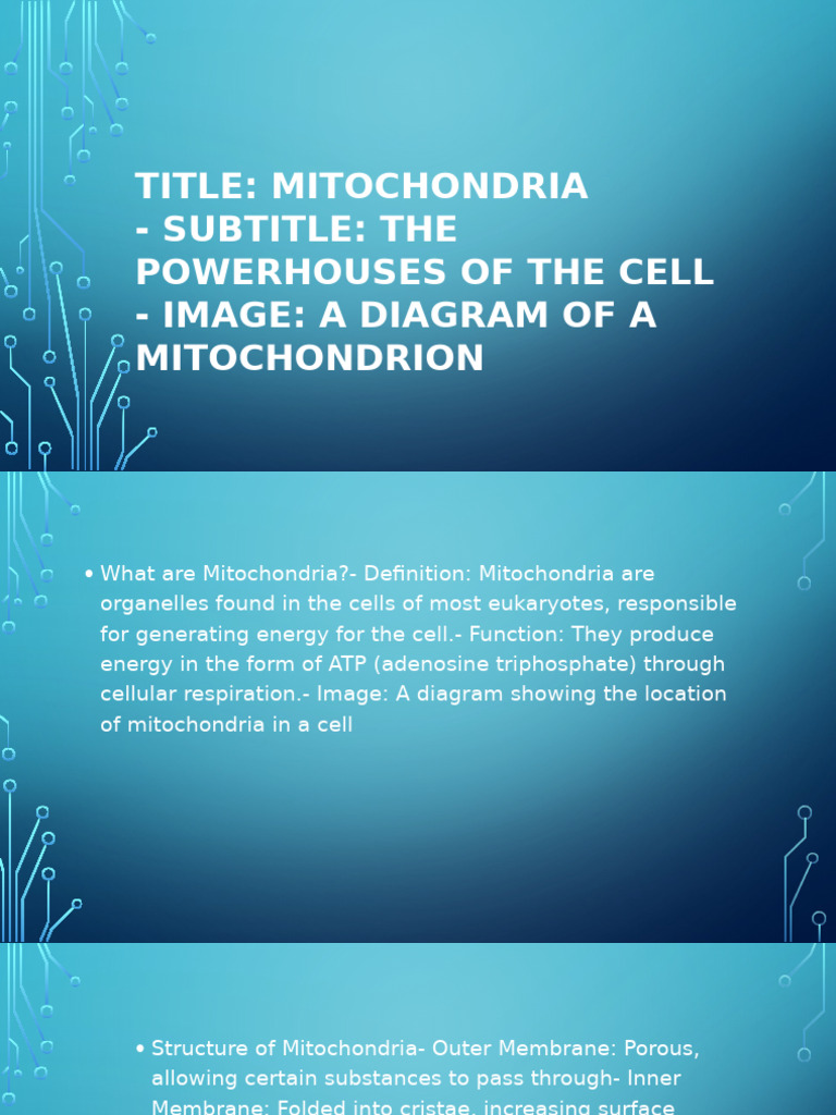 Title: Mitochondria - Subtitle: The Powerhouses of The Cell - Image: A ...