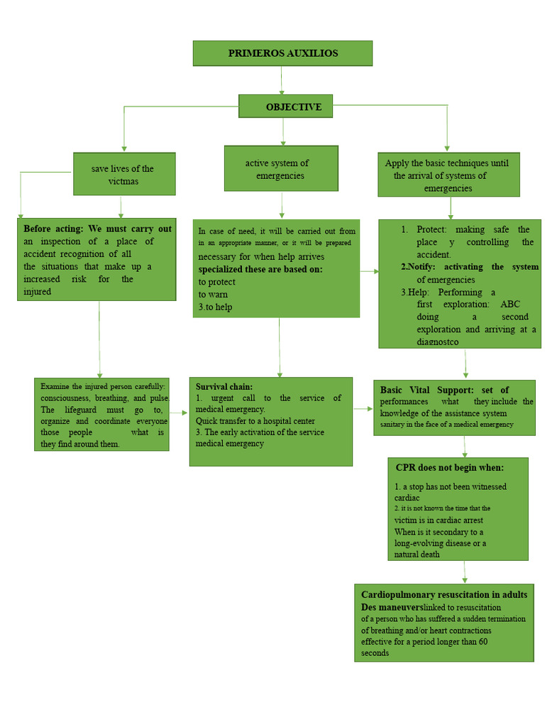 CONCEPTUAL MAP FIRST AID | PDF | Cardiopulmonary Resuscitation | First Aid