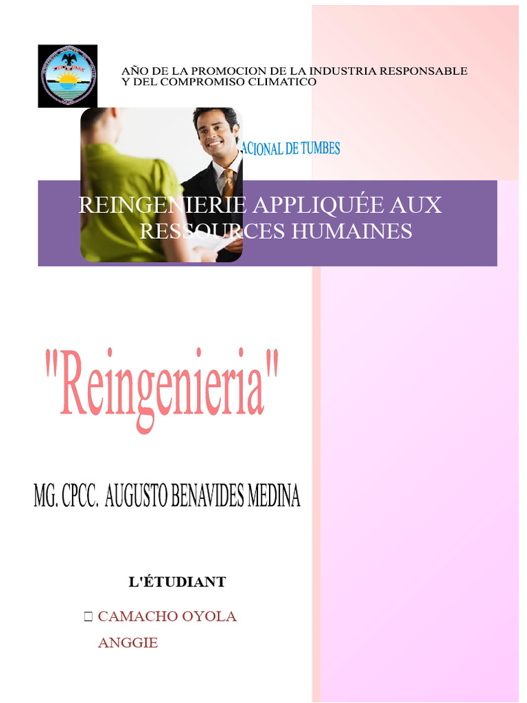 Réingénierie Appliquée Aux Ressources Humaines | PDF | Gestion des ...