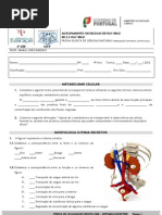 TESTE SISTEMA EXCRETOR