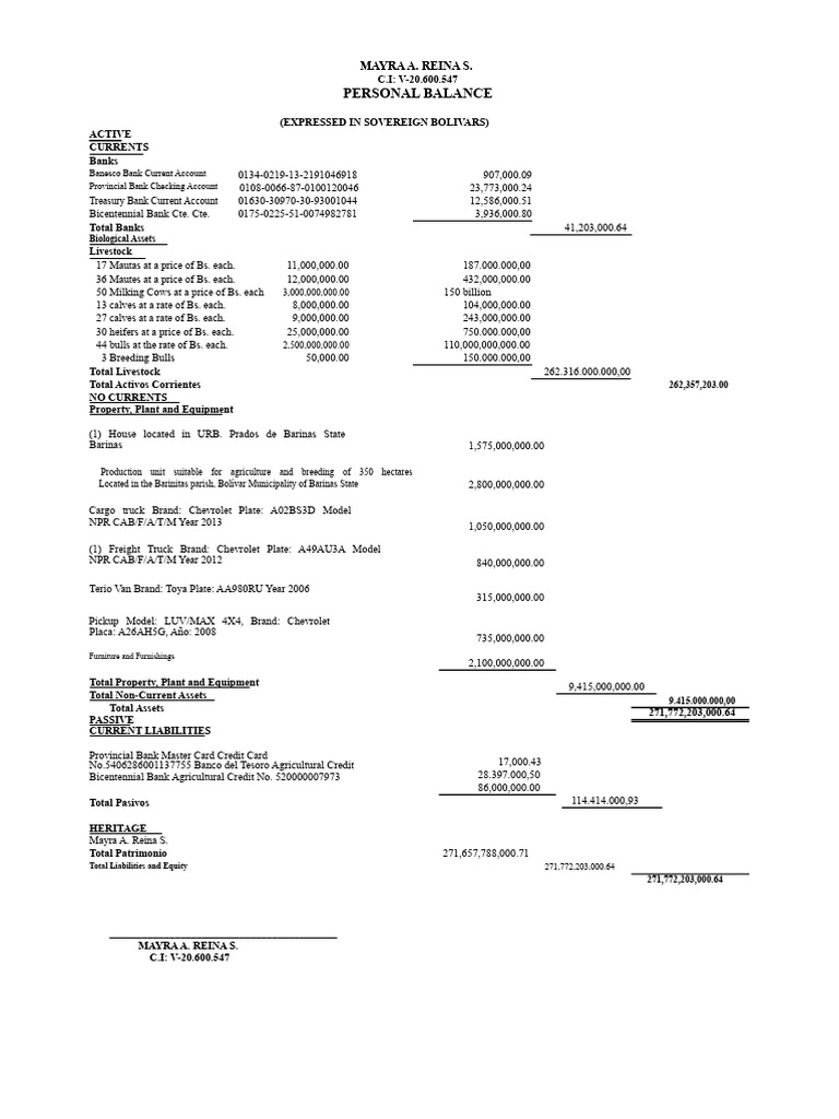 D) Example of Balance Sheet or Financial Position of An Individual With ...