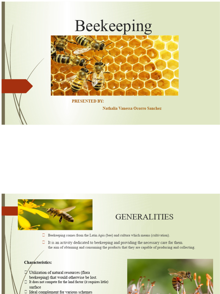 Apiculture. Bees | PDF | Bees | Honey Bee