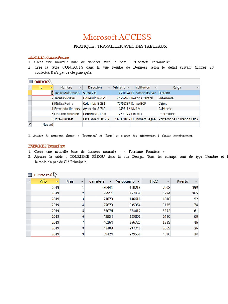 Guide Pratique Microsoft Access | PDF | Bases de données | Informatique