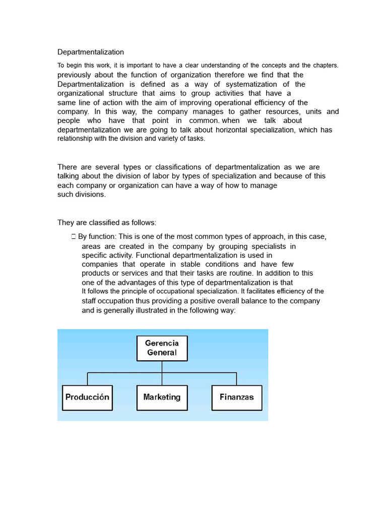 Departmentalization Process | PDF | Marketing | Business