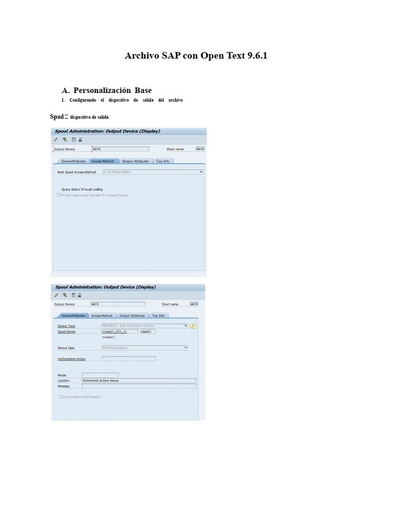 Configuración de SAP con Open Text 9.6.1 | PDF