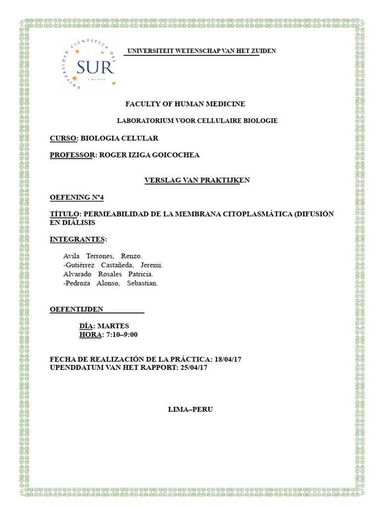 Eindrapport | PDF